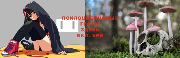 прущий лед Болотное