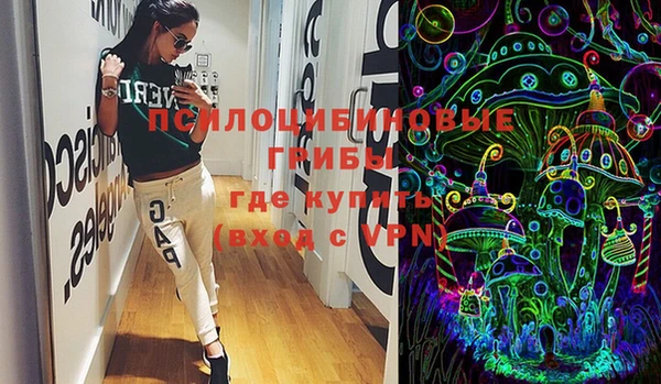 крисы Няндома