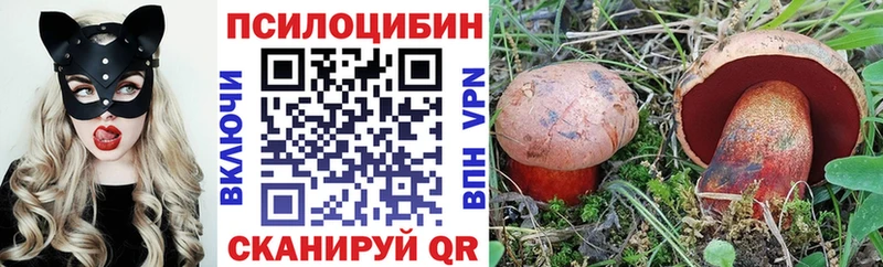 это какой сайт  как найти наркотики  Покачи  Галлюциногенные грибы мухоморы 